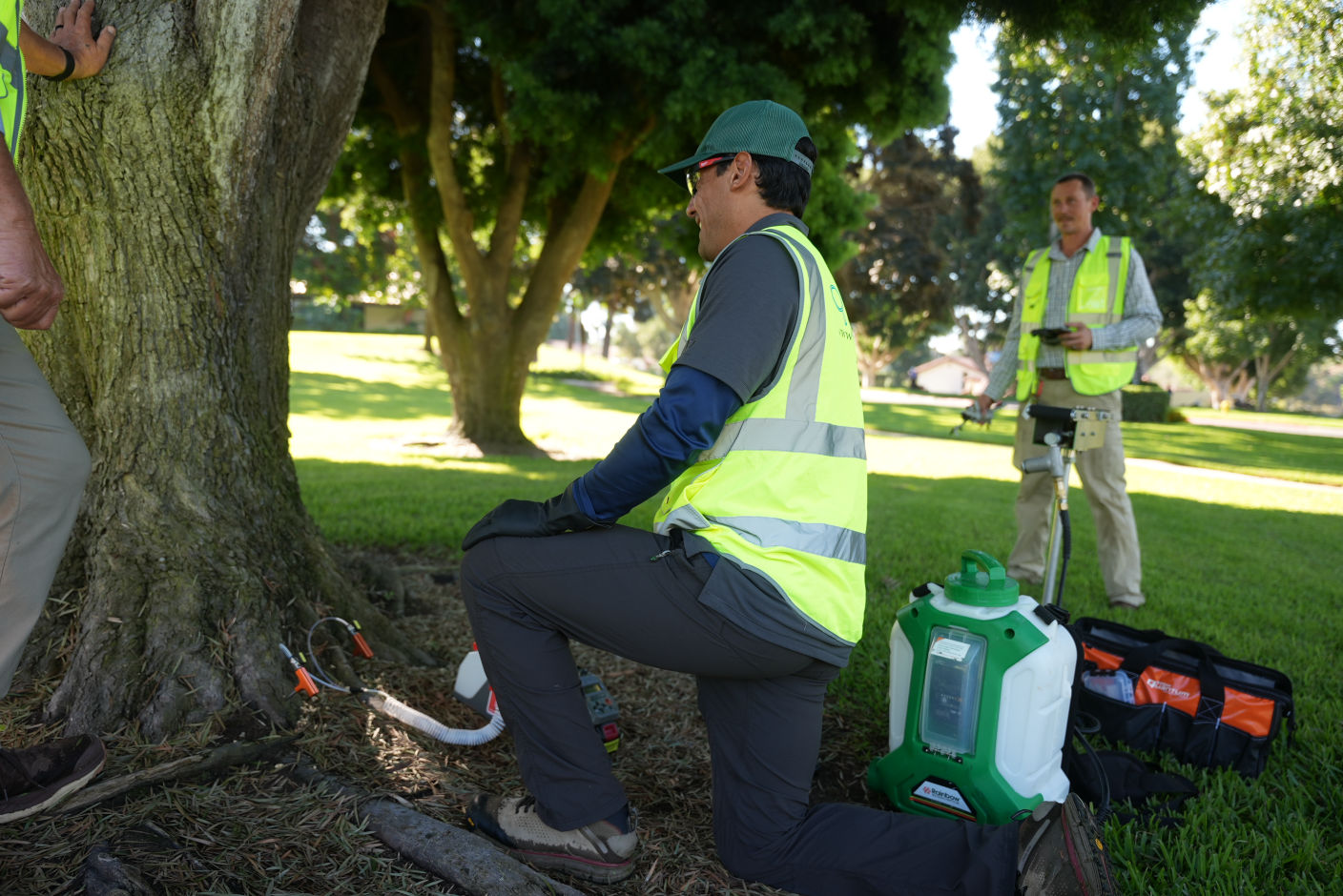 Tree Nutrient Plans in Southern California