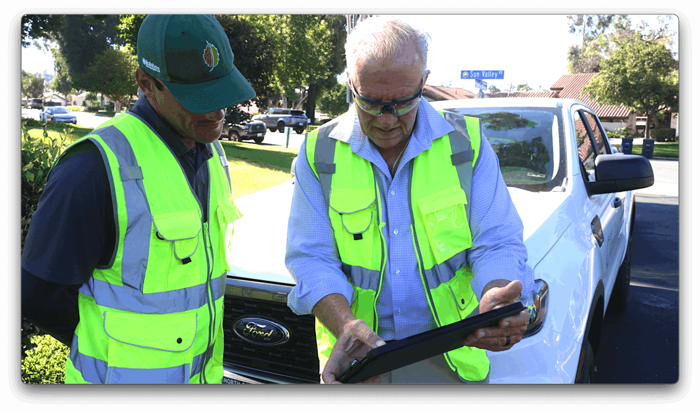 Arborist Report in Southern California